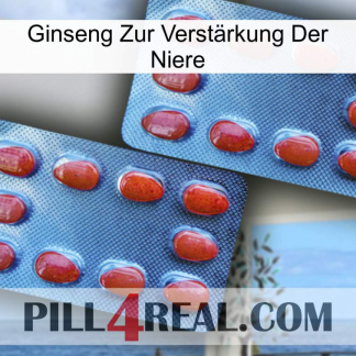 Ginseng Zur Verstärkung Der Niere 05